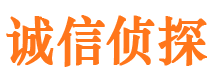 汉寿诚信私家侦探公司